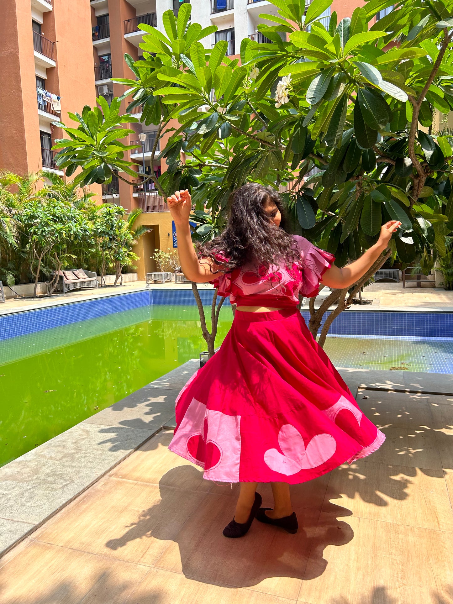 Mariposa Applique Skirt Set