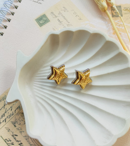 Korean star dualtone earrings
